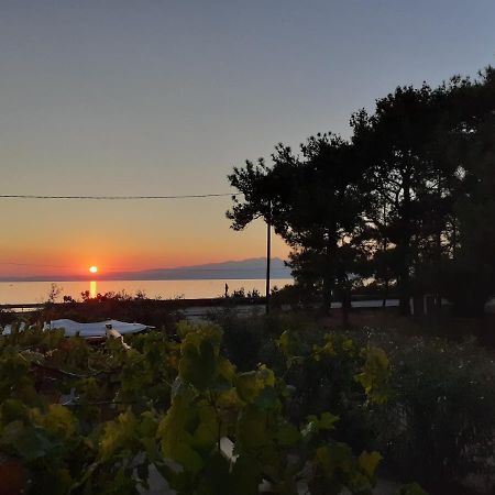 Το Σπίτι Με Το Πηγάδι - Wellcottage Thassos Skala Kallirakhis Exterior photo