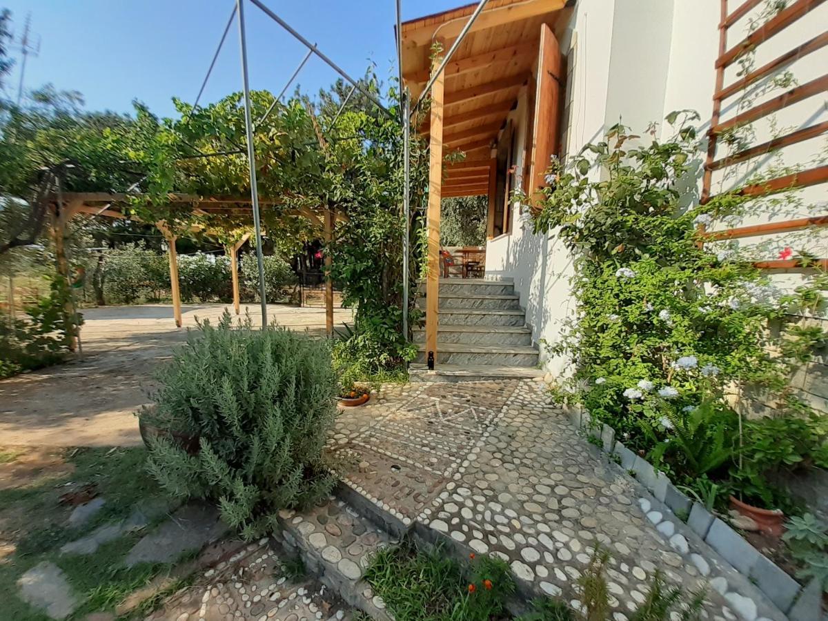 Το Σπίτι Με Το Πηγάδι - Wellcottage Thassos Skala Kallirakhis Exterior photo